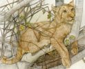 Tiere