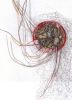 blume1