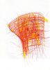 blume5