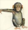 Tiere